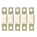 Victron MEGA Fuse 250A80V Package of 5 Pieces CIP138250020