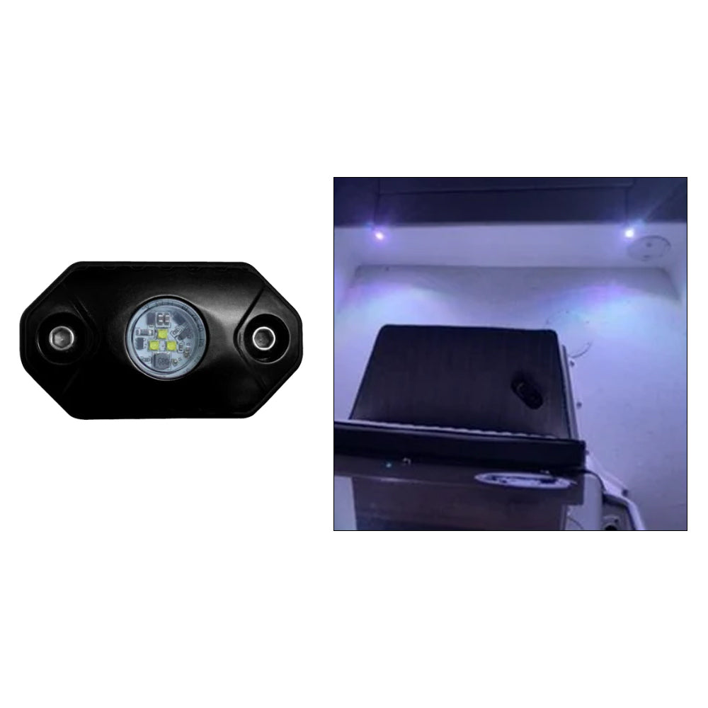 Black Oak Rock Accent Light  White  Black Housing RLW